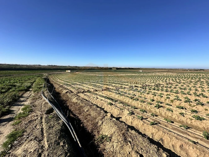 Terreno para Venda em Atouguia da Baleia Foto 6