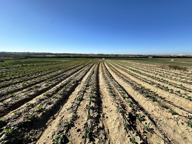 Terreno para Venda em Atouguia da Baleia Foto 12