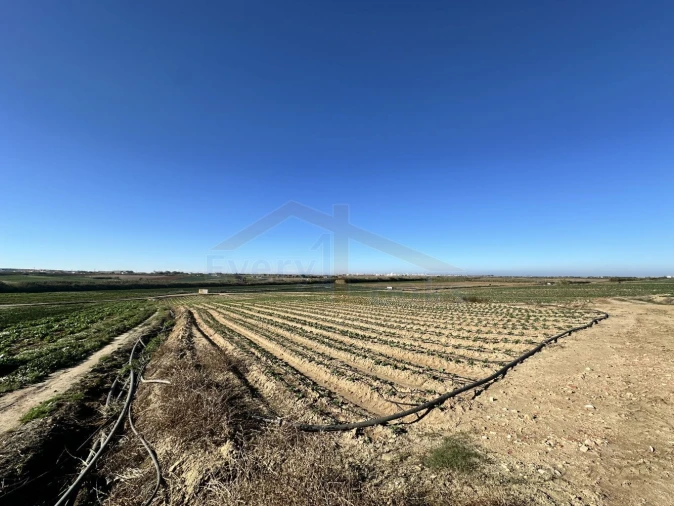 Terreno para Venda em Atouguia da Baleia Foto 10