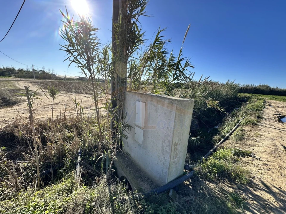 Terreno para Venda em Atouguia da Baleia Foto 1