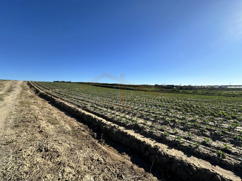 Terreno para Venda em Atouguia da Baleia Foto 15