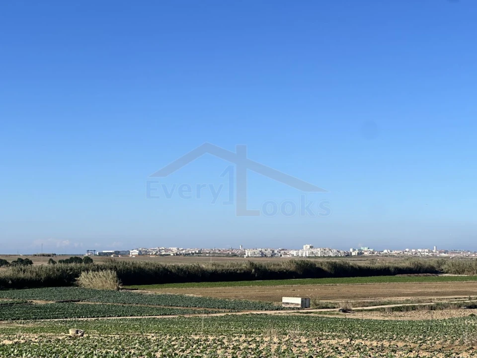 Terreno para Venda em Atouguia da Baleia Foto 8