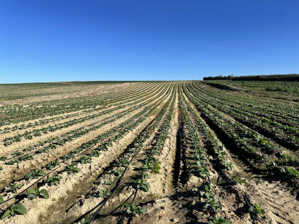 Terreno para Venda em Atouguia da Baleia Foto 2