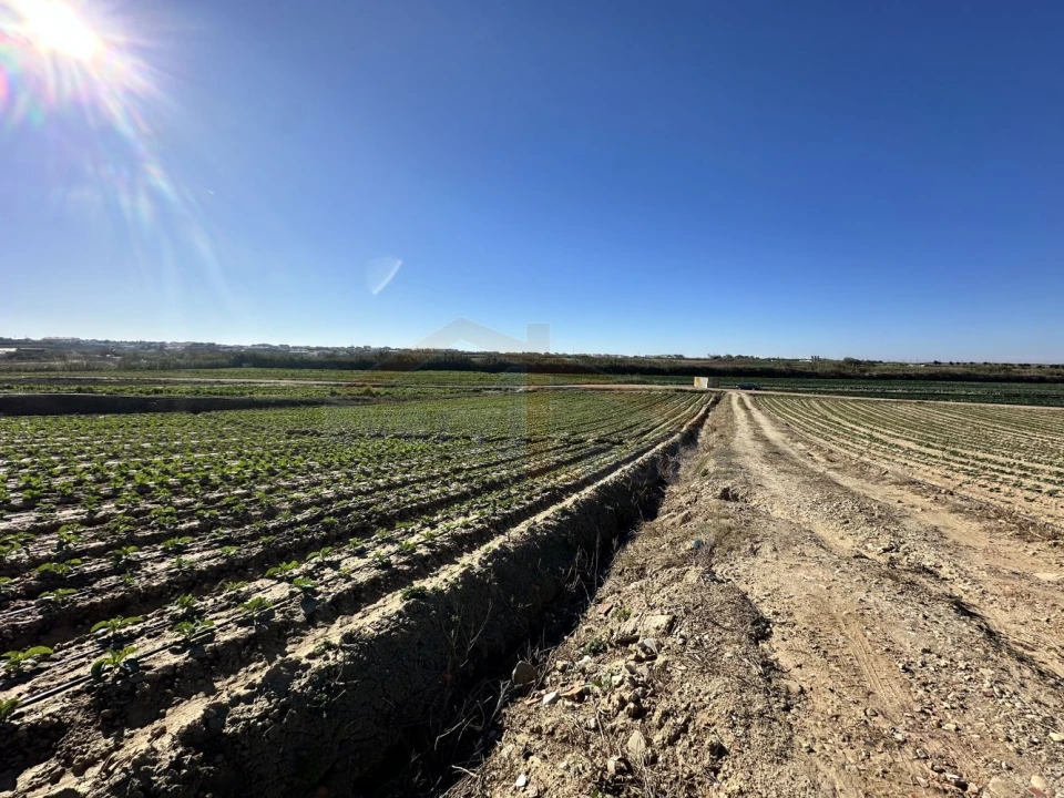 Terreno para Venda em Atouguia da Baleia Foto 14