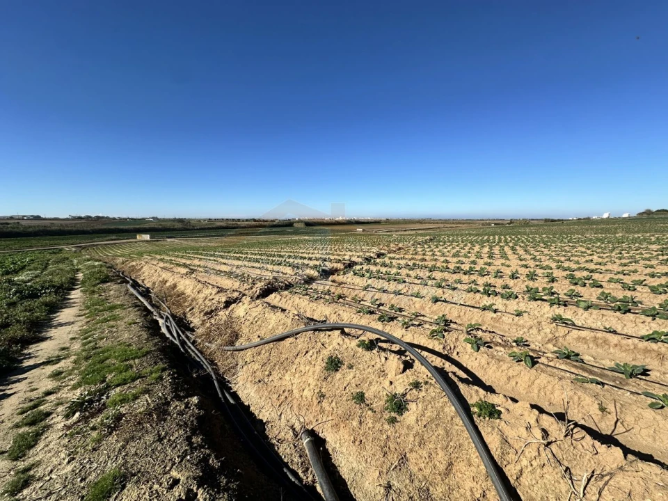 Terreno para Venda em Atouguia da Baleia Foto 7