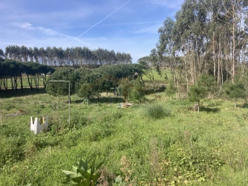 Moradia T2 para Venda em Caldas da Rainha - Santo Onofre e Serra do Bouro