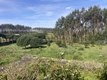 Moradia T2 para Venda em Caldas da Rainha - Santo Onofre e Serra do Bouro