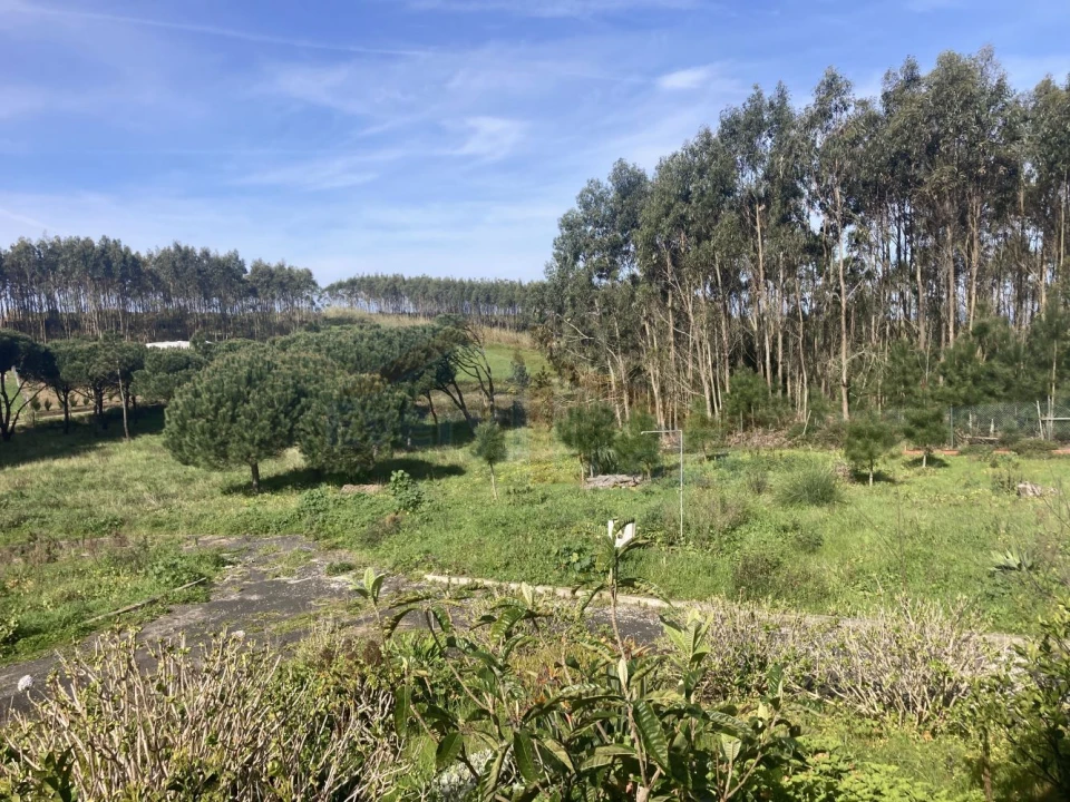 Moradia T2 para Venda em Caldas da Rainha - Santo Onofre e Serra do Bouro Foto 15