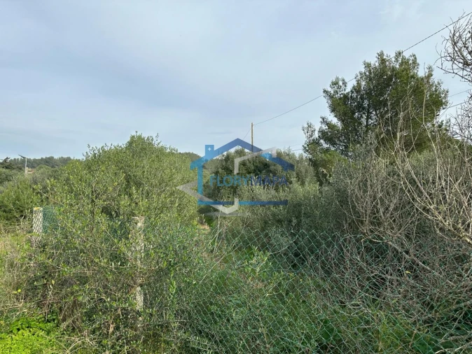 Terreno para Venda em Alcabideche Foto 12