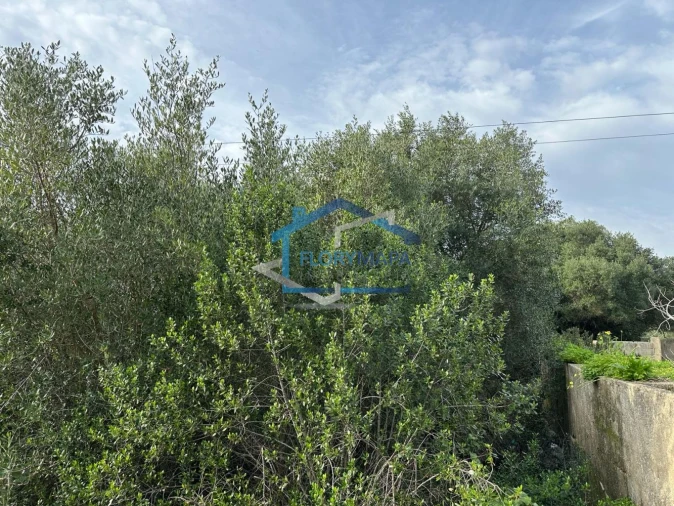 Terreno para Venda em Alcabideche Foto 9