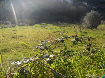 Terreno para Venda em Assafarge e Antanhol