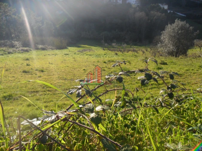 Terreno para Venda em Assafarge e Antanhol Foto 5