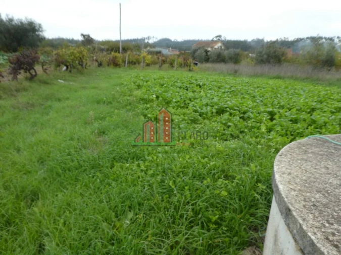 Terreno para Venda em Soure Foto 4