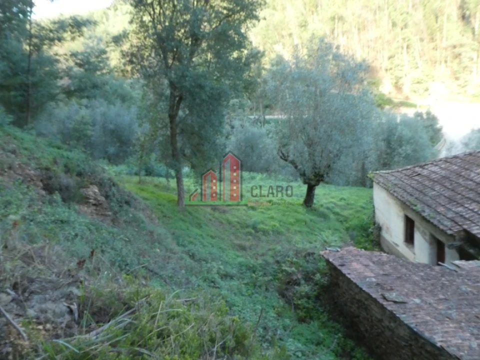 Quinta T0 para Venda em Santo Antonio dos Olivais Foto 6