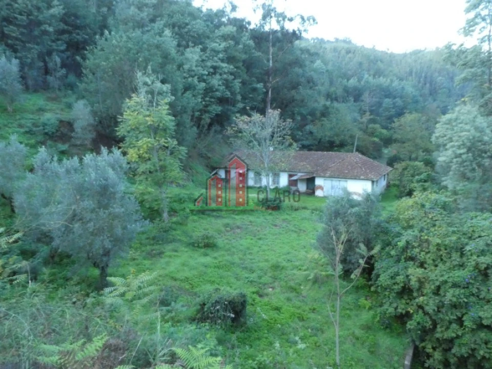 Quinta T0 para Venda em Santo Antonio dos Olivais Foto 13