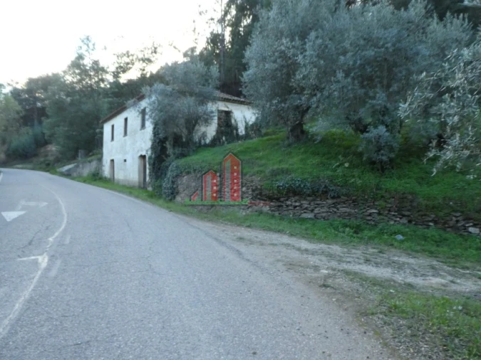 Quinta T0 para Venda em Santo Antonio dos Olivais Foto 12