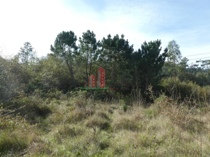 Terreno para Venda em Maiorca Foto 7