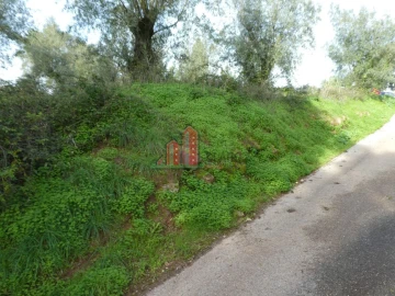 Terreno para Venda em Eiras e São Paulo de Frades