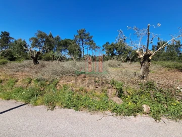 Terreno para Venda em Eiras e São Paulo de Frades