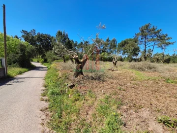 Terreno para Venda em Eiras e São Paulo de Frades