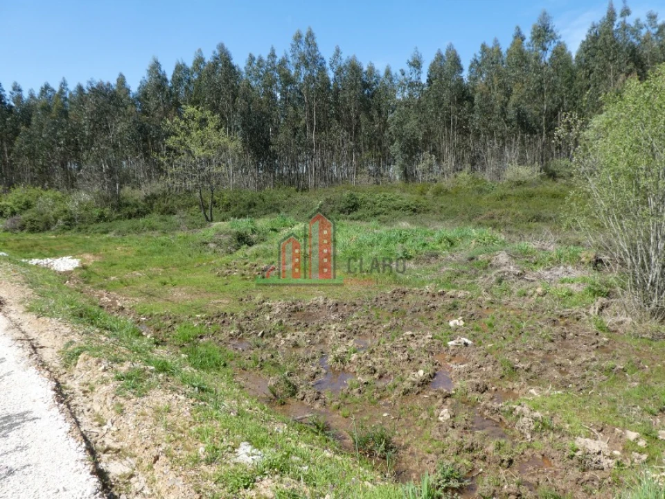 Terreno para Venda em São Miguel, Santa Eufémia e Rabaçal Foto 3
