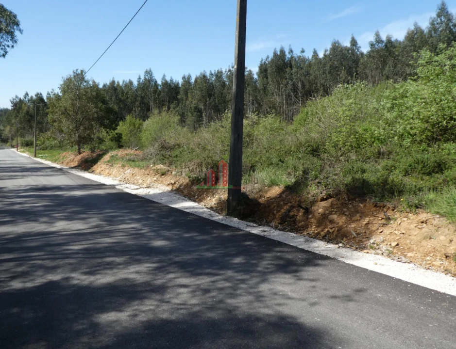 Terreno para Venda em São Miguel, Santa Eufémia e Rabaçal Foto 6