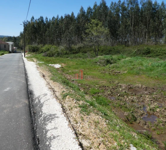Terreno para Venda em São Miguel, Santa Eufémia e Rabaçal Foto 4