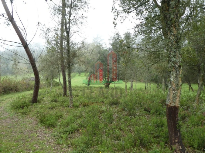 Terreno para Venda em Ansião Foto 6