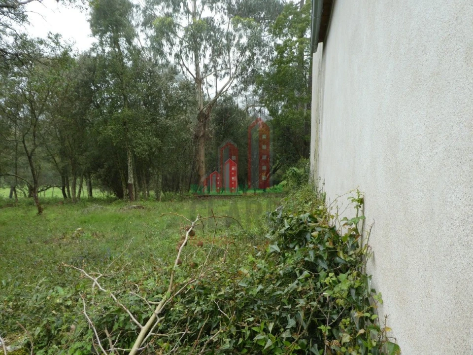 Terreno para Venda em Ansião Foto 10