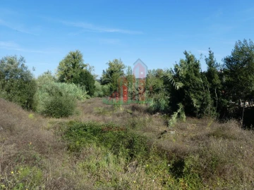 Terreno para Venda em Cernache