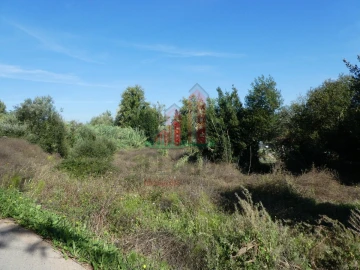 Terreno para Venda em Cernache