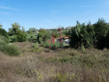 Terreno para Venda em Cernache