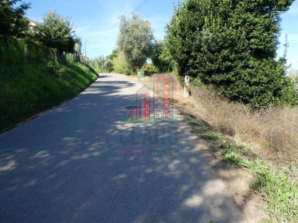 Terreno para Venda em Cernache Foto 6