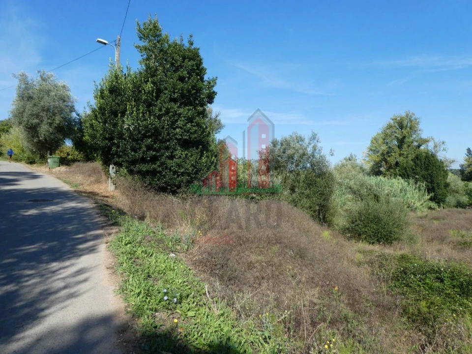 Terreno para Venda em Cernache Foto 11