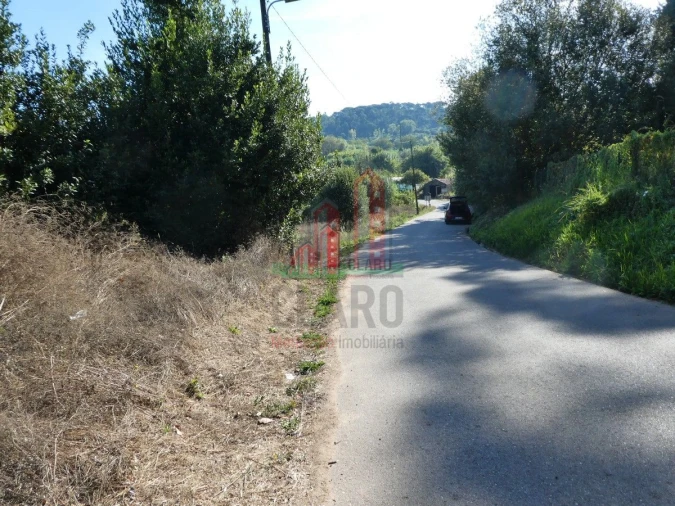 Terreno para Venda em Cernache Foto 14