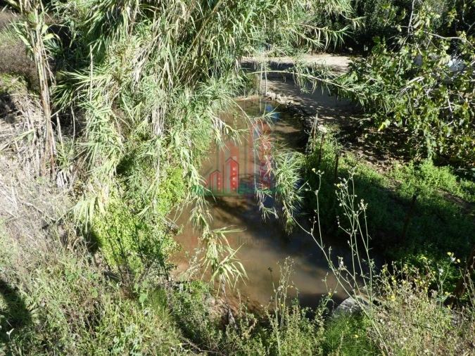 Terreno para Venda em Cernache Foto 5