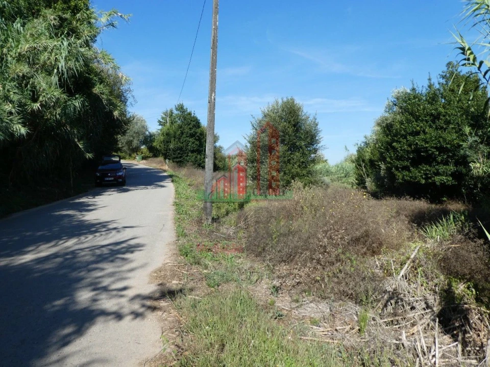 Terreno para Venda em Cernache Foto 3