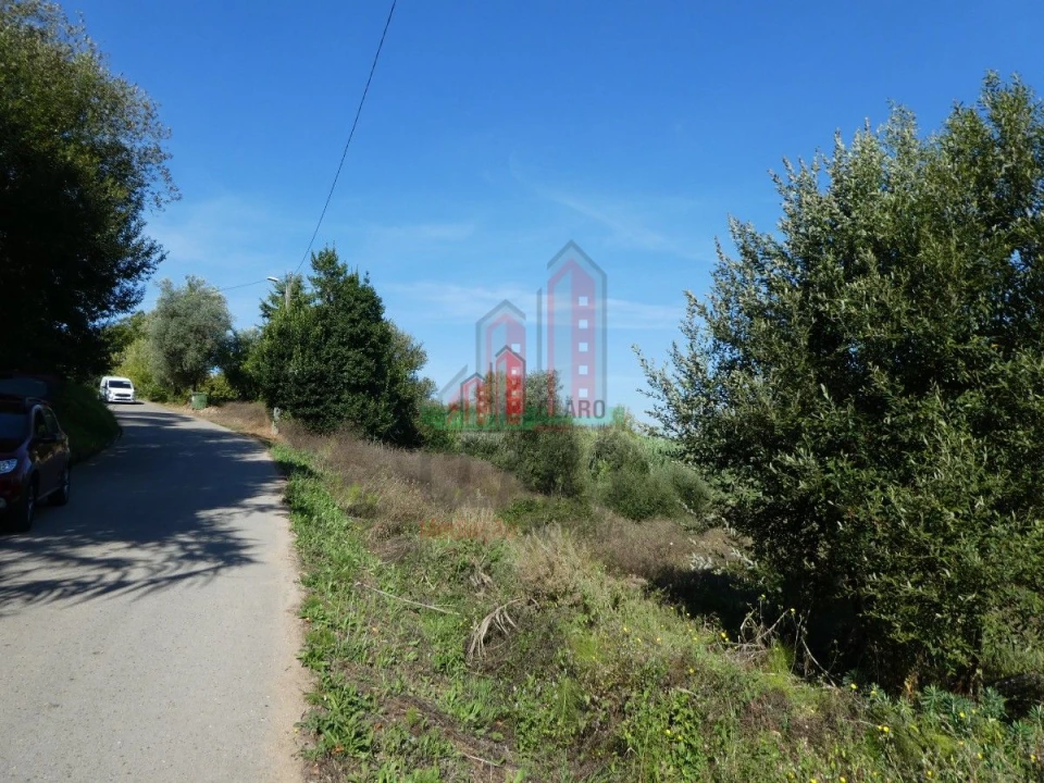 Terreno para Venda em Cernache Foto 8