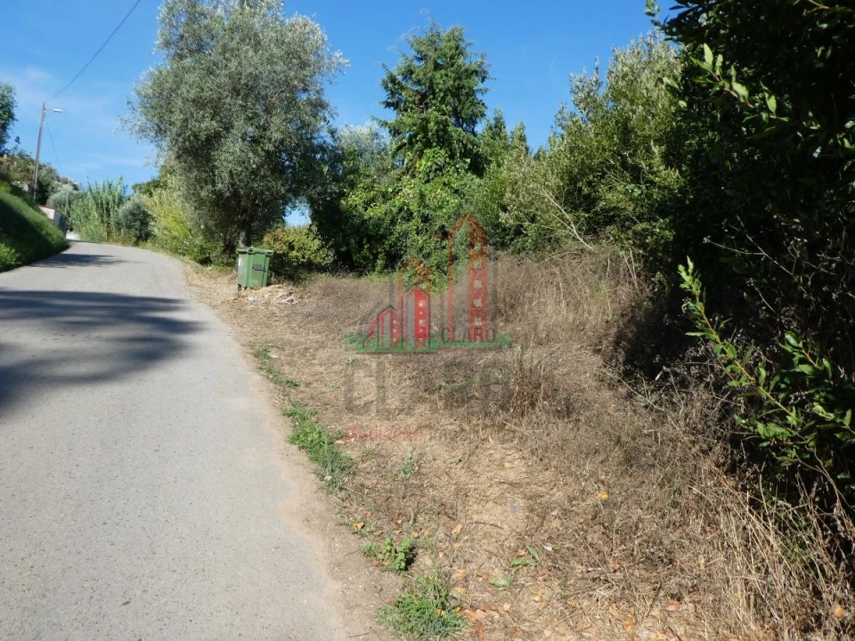 Terreno para Venda em Cernache Foto 7