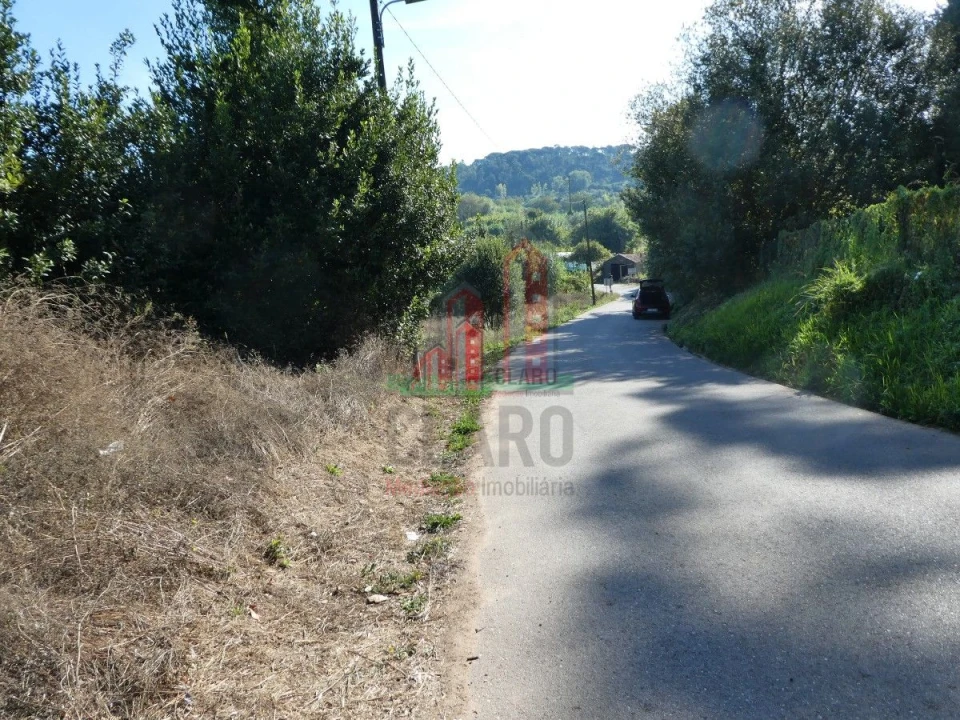 Terreno para Venda em Cernache Foto 14