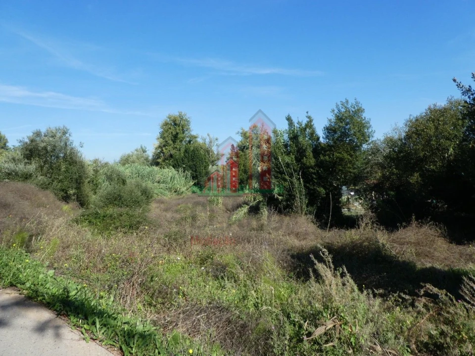 Terreno para Venda em Cernache Foto 9