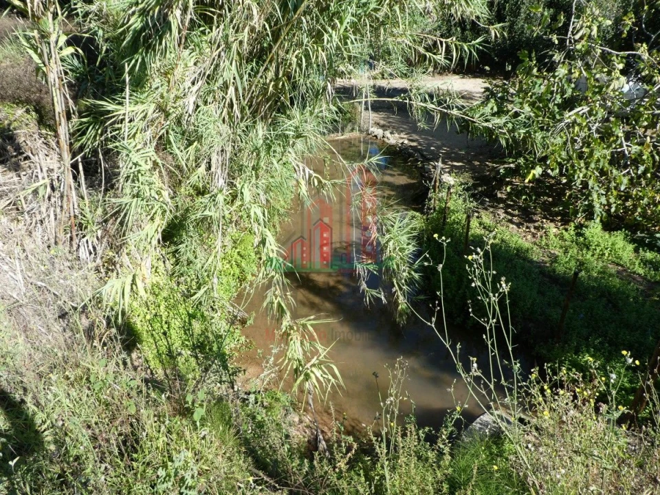 Terreno para Venda em Cernache Foto 5