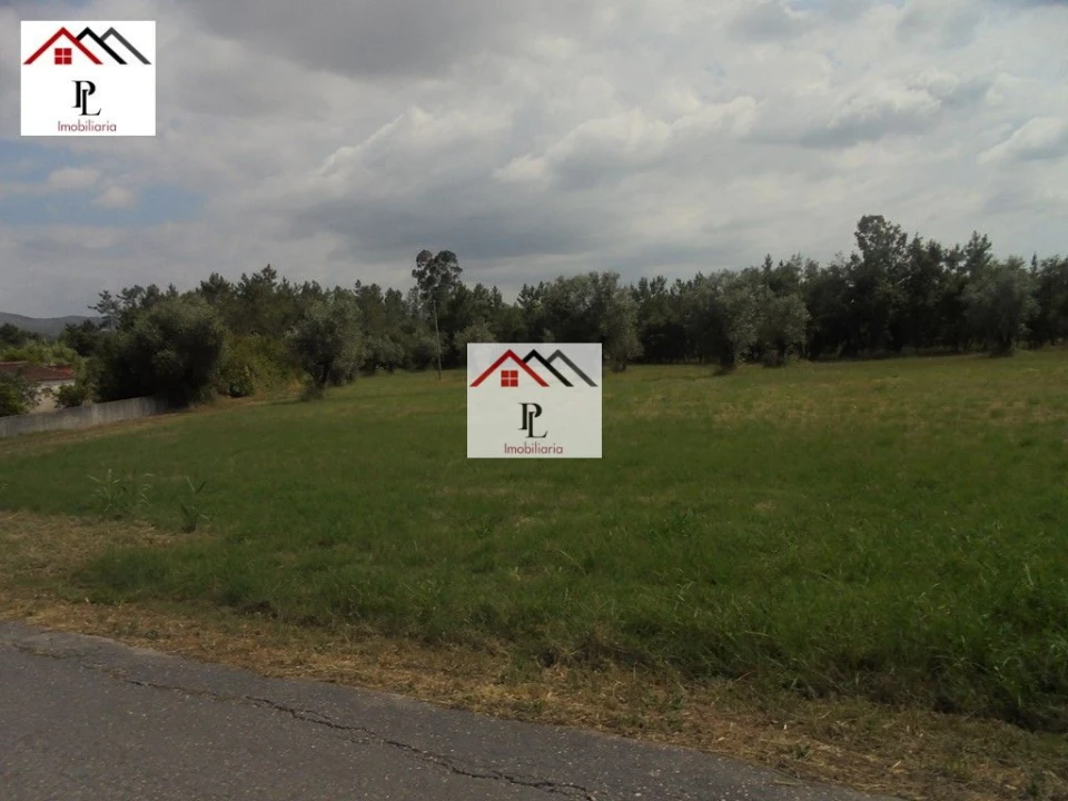 Terreno para Venda em Sebal e Belide Foto 2