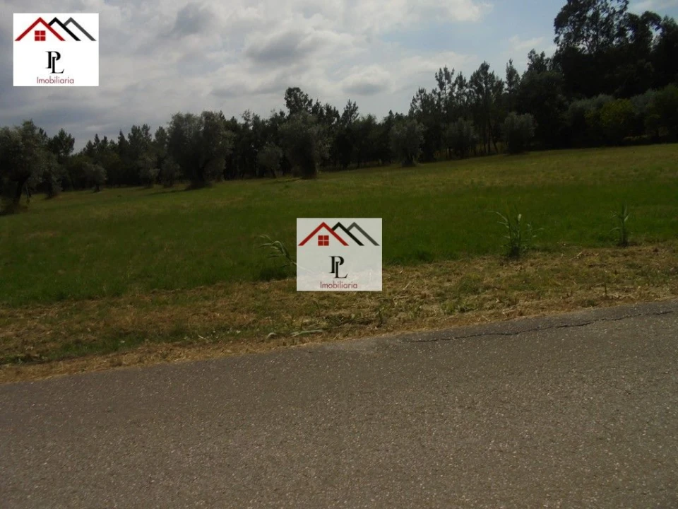 Terreno para Venda em Sebal e Belide Foto 7