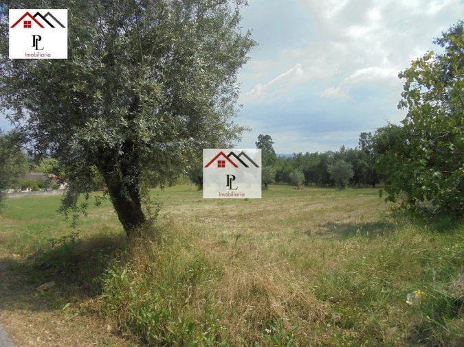 Terreno para Venda em Sebal e Belide Foto 4
