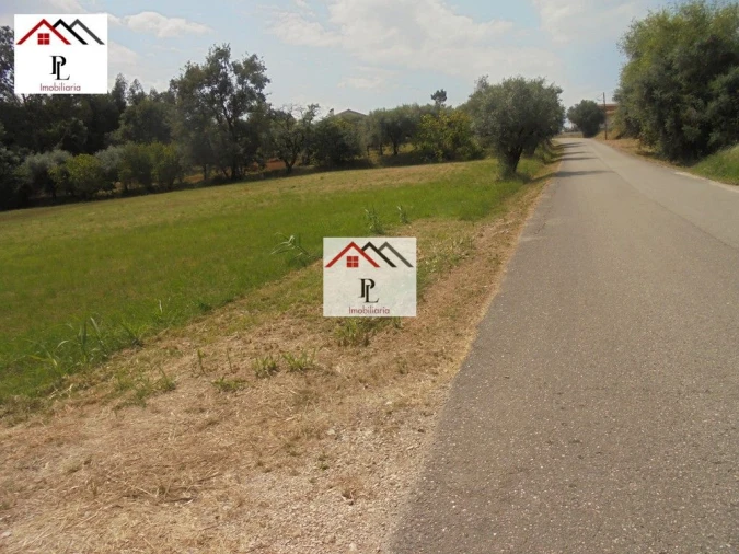 Terreno para Venda em Sebal e Belide Foto 8