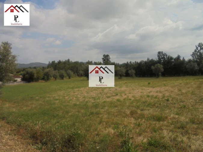 Terreno para Venda em Sebal e Belide Foto 3