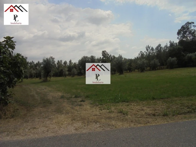 Terreno para Venda em Sebal e Belide