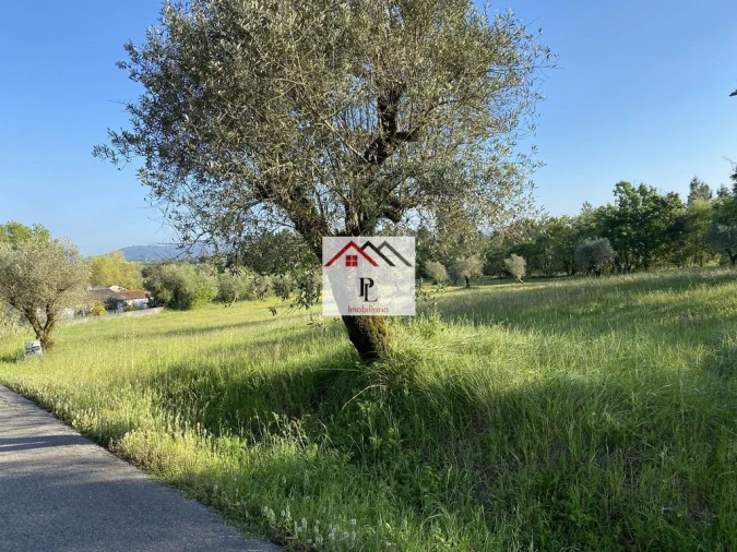 Terreno para Venda em Sebal e Belide Foto 9