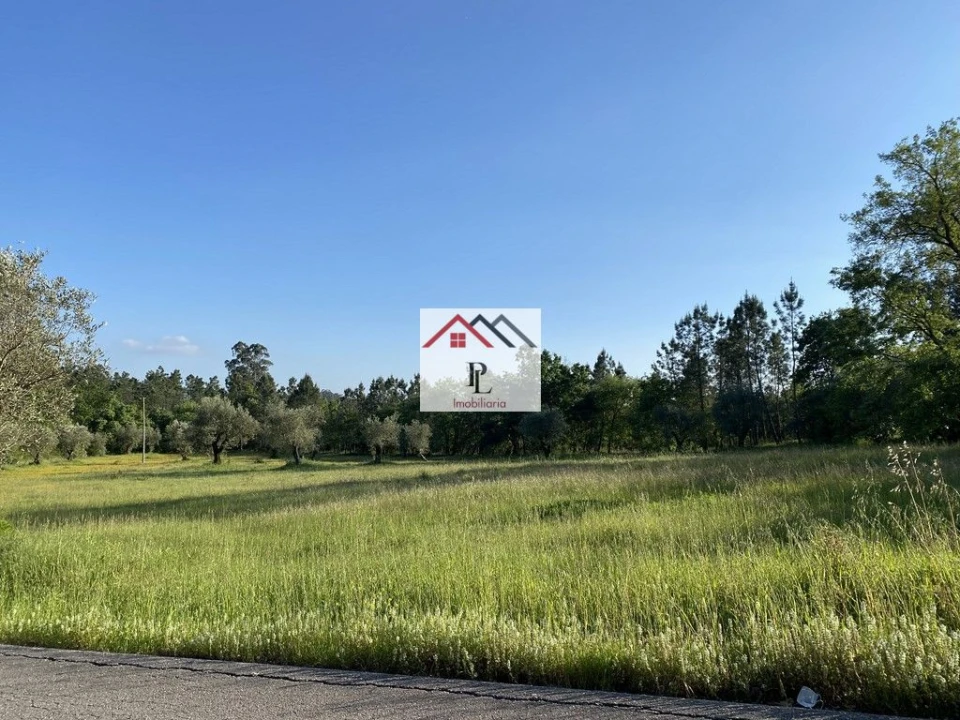 Terreno para Venda em Sebal e Belide Foto 11